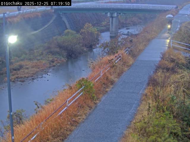 最新監視カメラ画像