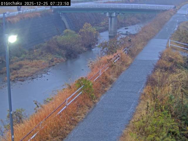 最新監視カメラ画像