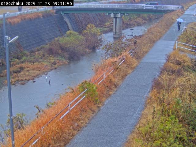 最新監視カメラ画像