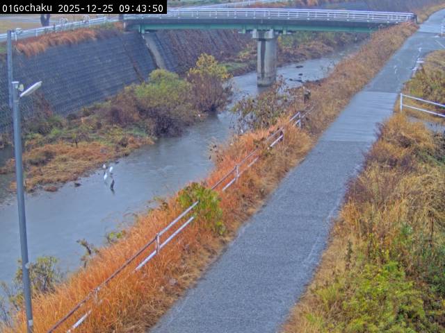 最新監視カメラ画像