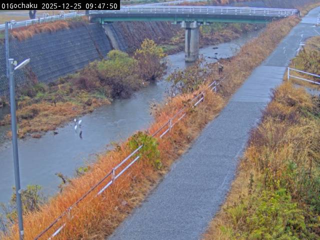 最新監視カメラ画像