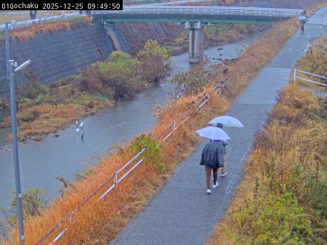 最新監視カメラ画像