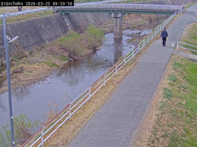 最新監視カメラ画像