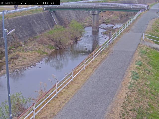 最新監視カメラ画像