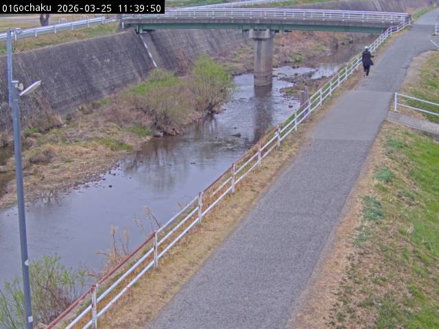 最新監視カメラ画像