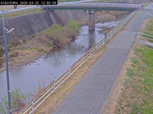 最新監視カメラ画像