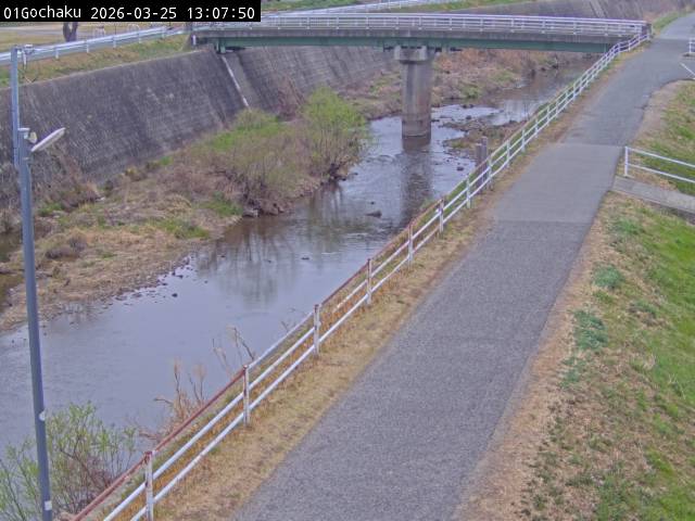 最新監視カメラ画像