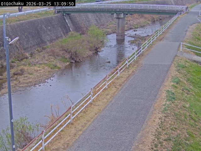 最新監視カメラ画像