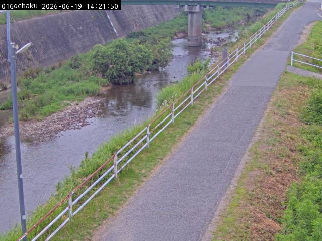 最新監視カメラ画像