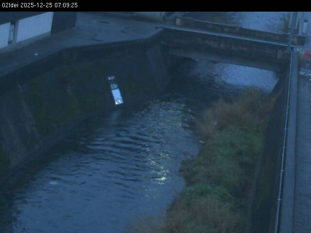 最新監視カメラ画像