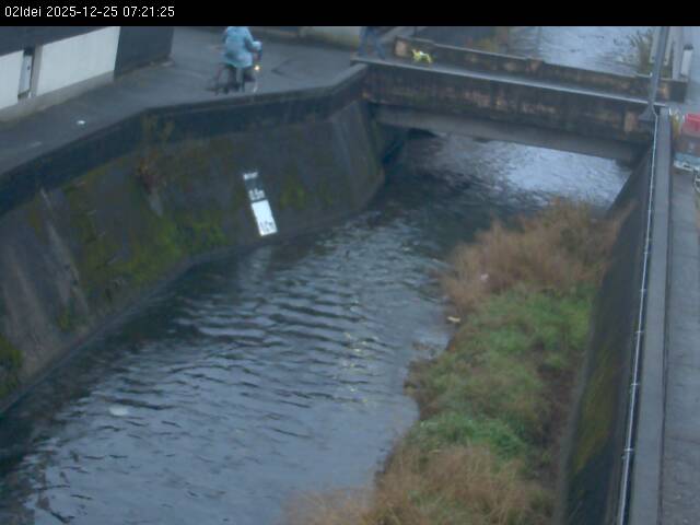 最新監視カメラ画像