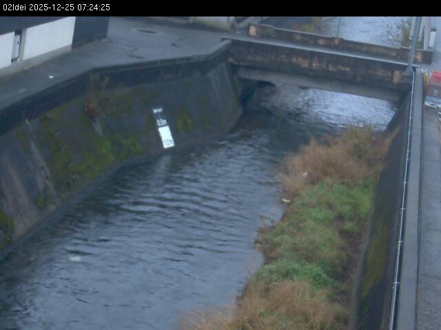 最新監視カメラ画像