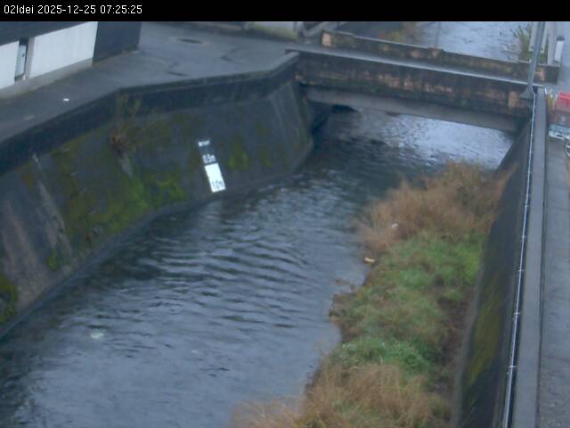 最新監視カメラ画像