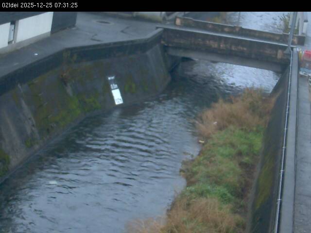 最新監視カメラ画像