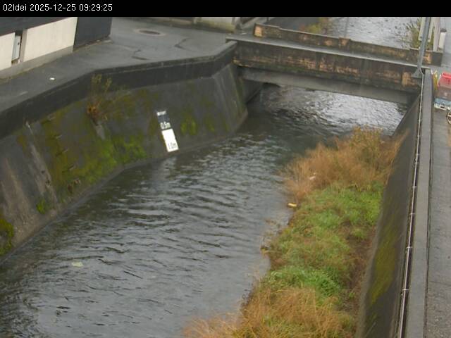 最新監視カメラ画像