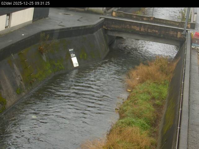 最新監視カメラ画像