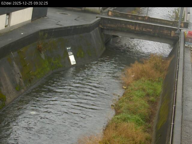 最新監視カメラ画像