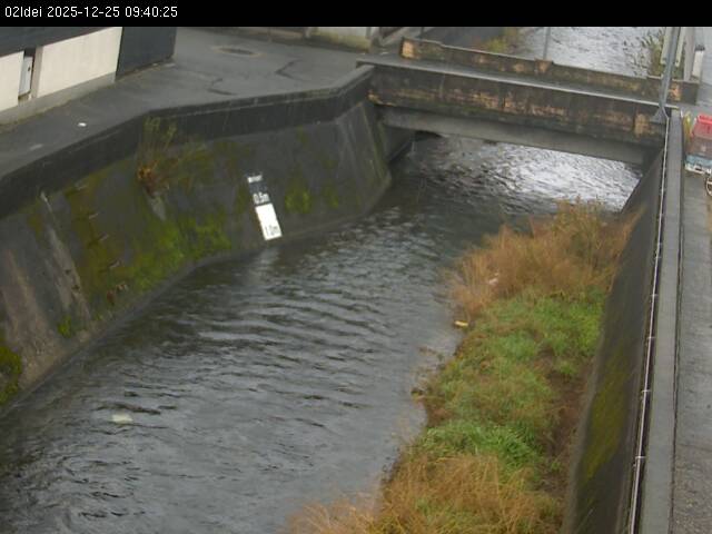 最新監視カメラ画像