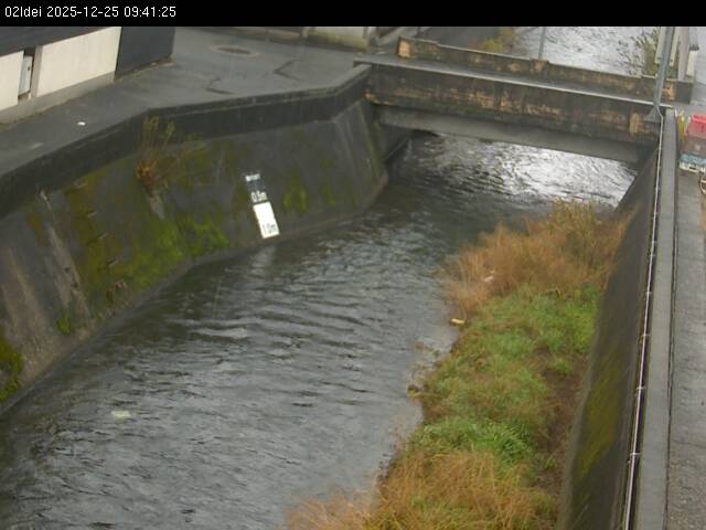 最新監視カメラ画像