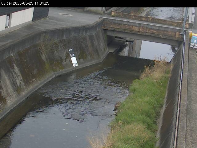 最新監視カメラ画像