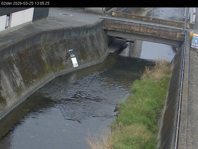 最新監視カメラ画像