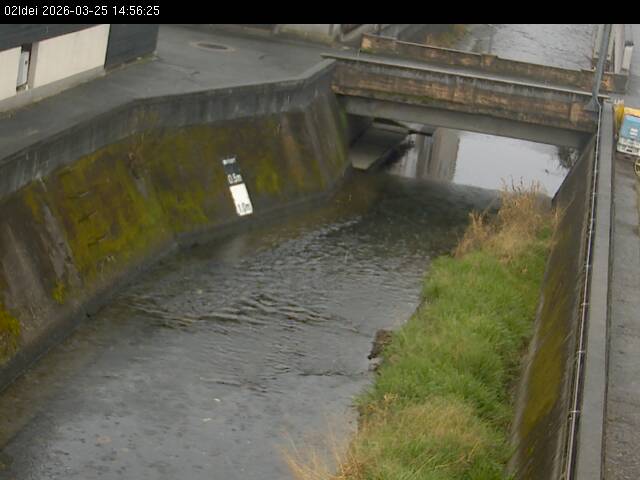 最新監視カメラ画像