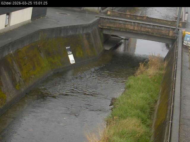 最新監視カメラ画像