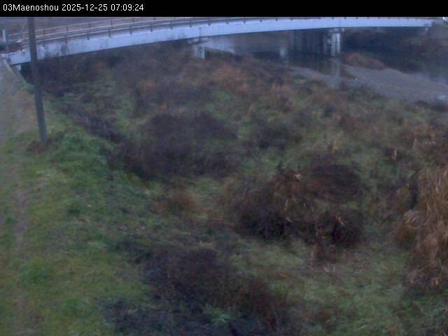 最新監視カメラ画像