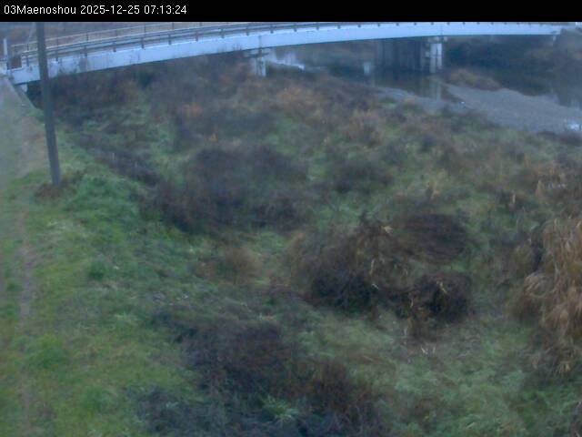 最新監視カメラ画像