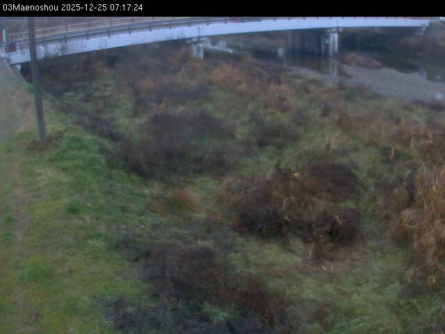 最新監視カメラ画像