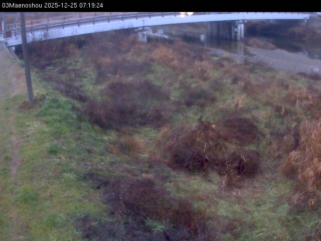 最新監視カメラ画像