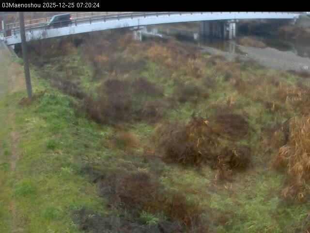 最新監視カメラ画像