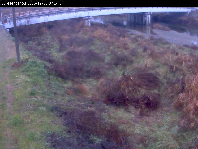 最新監視カメラ画像