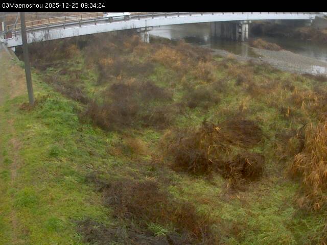 最新監視カメラ画像