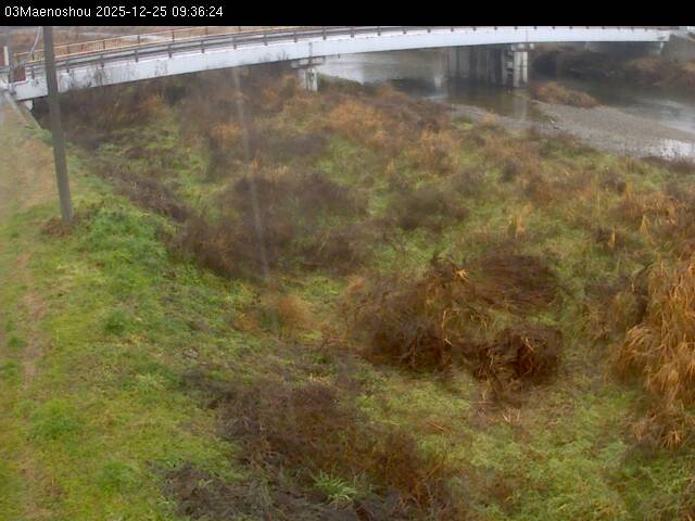 最新監視カメラ画像