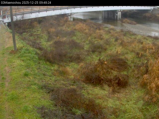 最新監視カメラ画像