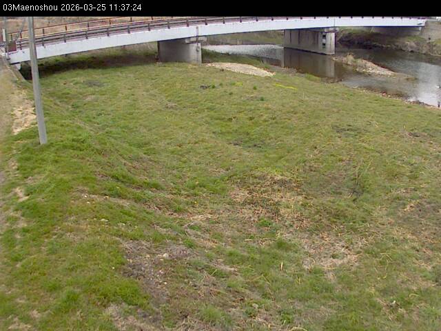 最新監視カメラ画像