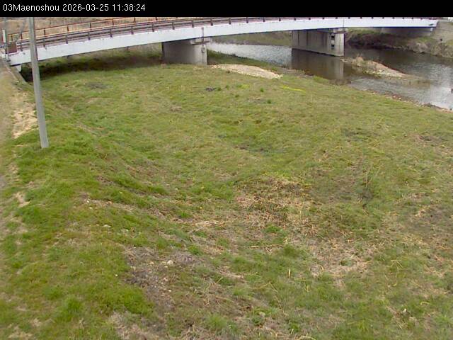 最新監視カメラ画像