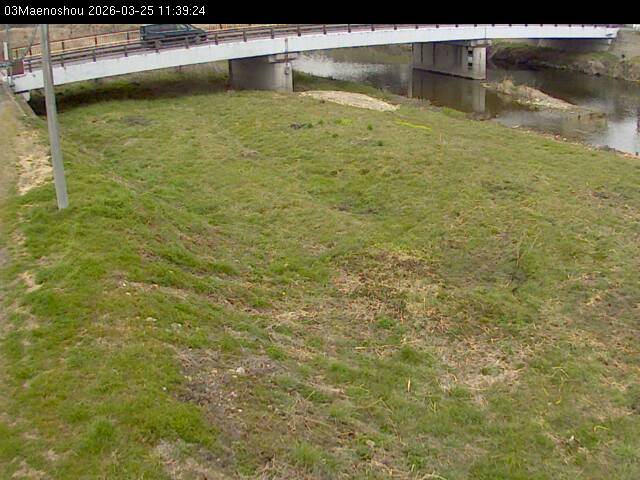 最新監視カメラ画像