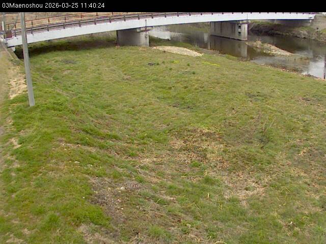 最新監視カメラ画像