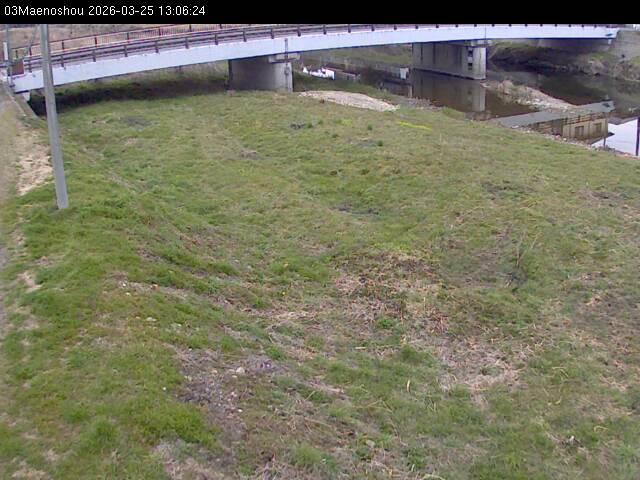 最新監視カメラ画像