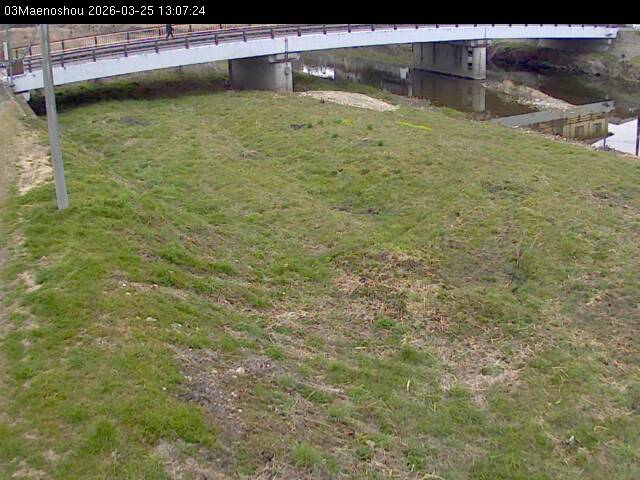 最新監視カメラ画像