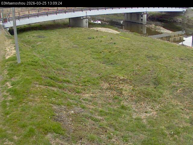 最新監視カメラ画像