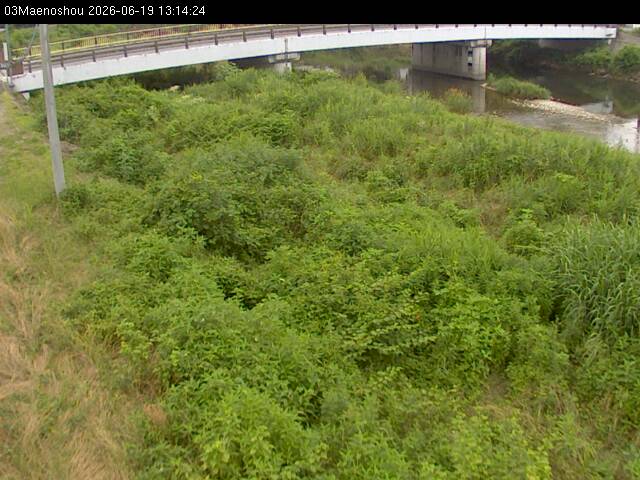 最新監視カメラ画像