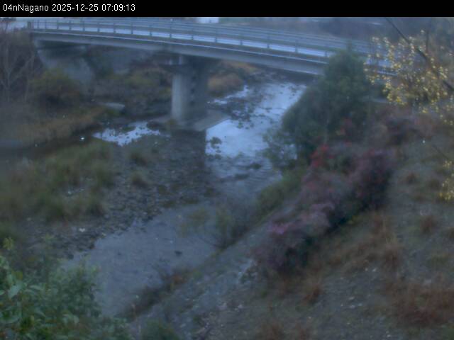 最新監視カメラ画像