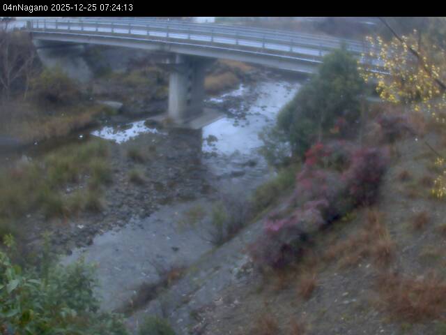 最新監視カメラ画像