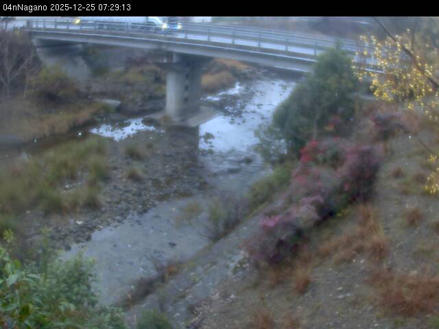 最新監視カメラ画像