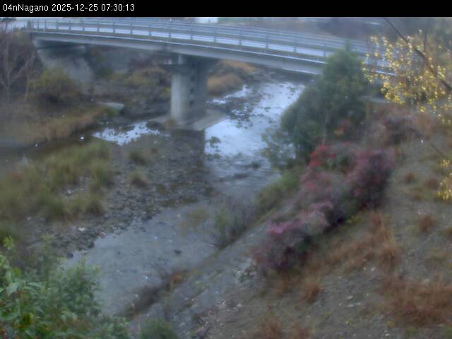 最新監視カメラ画像