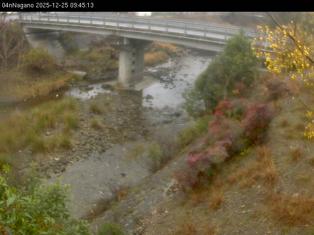 最新監視カメラ画像