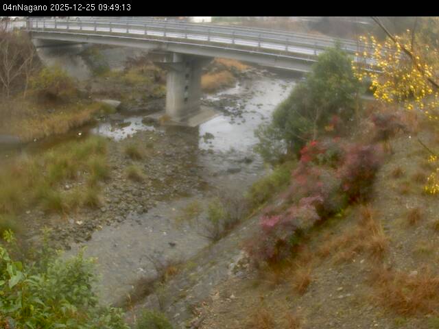 最新監視カメラ画像